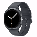 Часы Samsung Galaxy Watch 8 40mm Graphite 250_100_492261